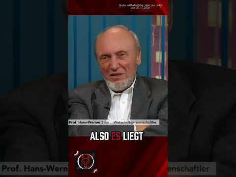 Professor Sinn zerlegt EU-Politik: Wird unsere Autoindustrie geopfert?